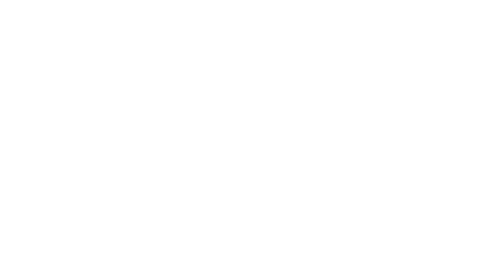 logo cdivn blanc